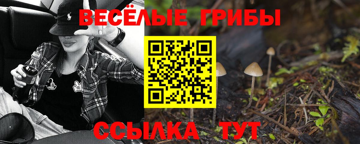 Галлюциногенные грибы Psilocybine cubensis Сарапул