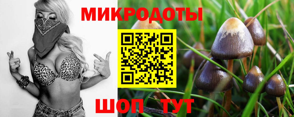Сарапул  Галлюциногенные грибы мицелий  Вход с VPN 
